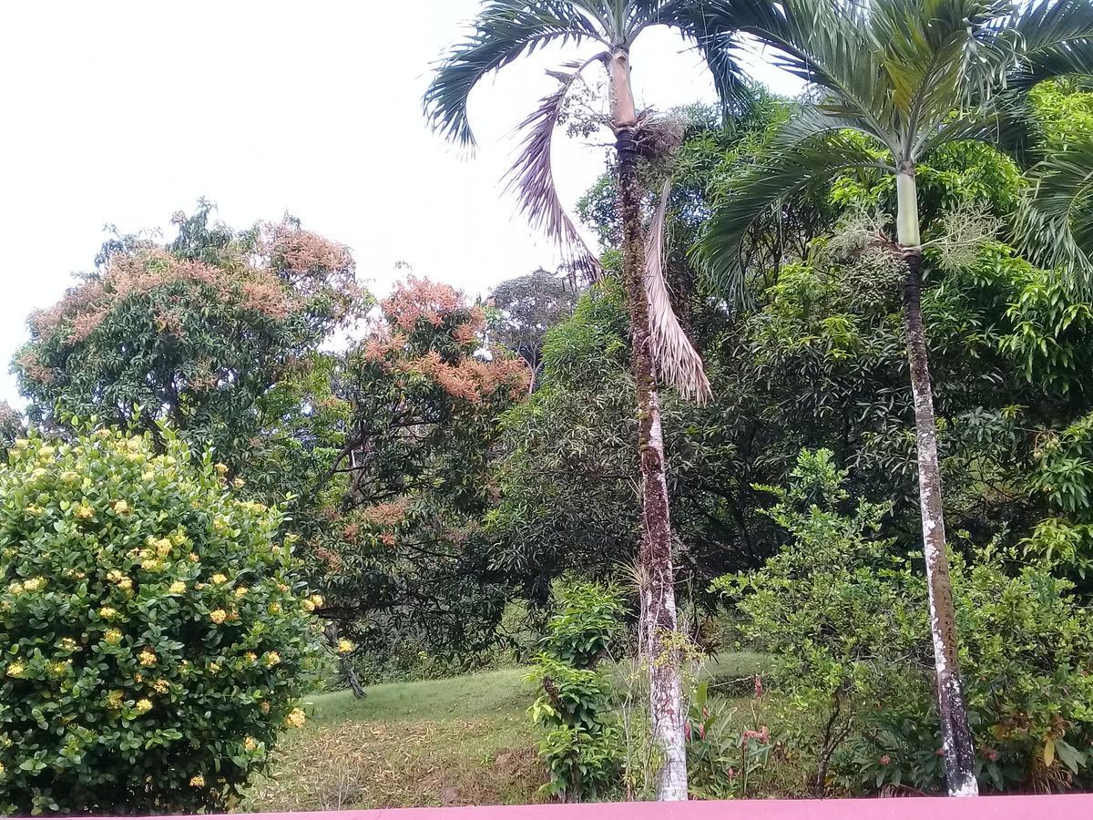Monique'S Guest House Maraval Bagian luar foto